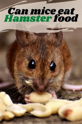 Can Mice Eat Hamster Food? Exploring the Nutritional Crossover and Quirky Dietary Habits