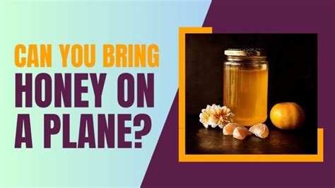 Can You Bring Honey on a Plane? And Why Do Bees Never Need to Check In?