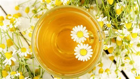 Does Chamomile Tea Expire? And Why Does It Smell Like Forgotten Memories?