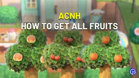 how to get other fruit acnh, and why pineapples might just be the next big thing