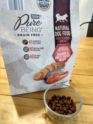 Is Aldi Dog Food Good? Exploring the Bark and Bite of Budget Pet Nutrition