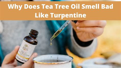 What Does Tea Tree Smell Like? And Why Does It Remind Me of Freshly Cut Grass on a Rainy Day?